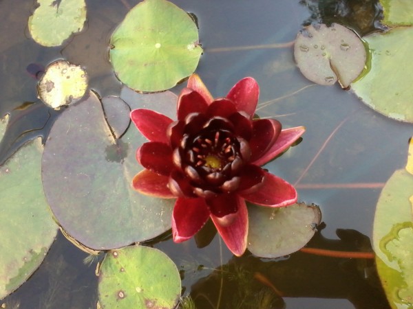 20150707_075711.jpg