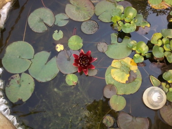 20150707_075720.jpg