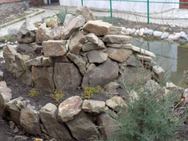 DSCN0016.JPG
