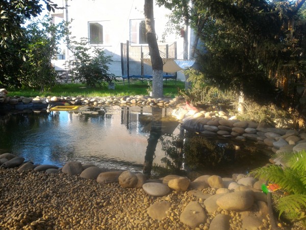 Вот и моё прудовое хозяйство! - P_20150715_181525.jpg