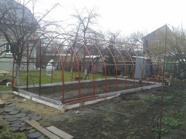 Вот и моё прудовое хозяйство! - 2015-03-13 10.59.27.jpg