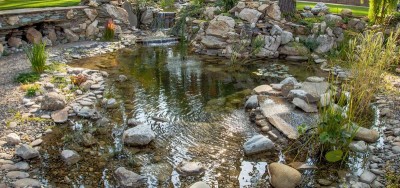 Водный мир на моем участке. - 115.jpg