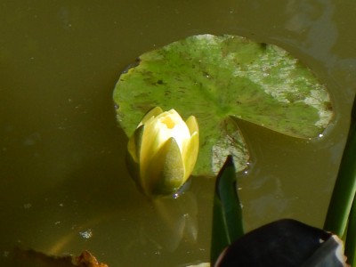 на прощание - DSCN5929.JPG