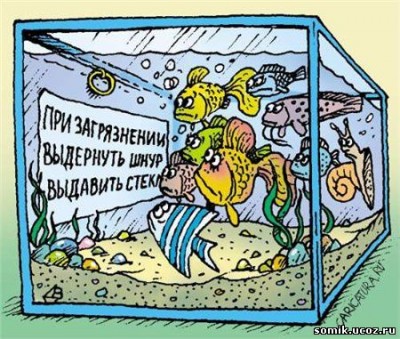 Мини аква-пруд (Адлер) - 1286964173150095.jpg