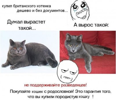 Болталка обо всём, и ни о чём. - 03.jpg