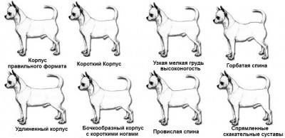 Болталка обо всём, и ни о чём. - original.jpg