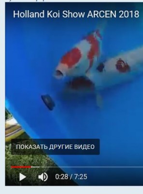 слив из бассейна - подача слив.JPG