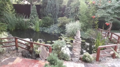Пруд, просто пруд. - 20190627_203123.jpg