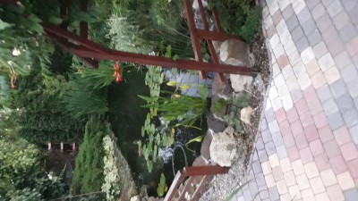 Пруд, просто пруд. - 20190627_203754.jpg