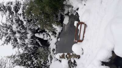 Пруд, просто пруд. - 20201221_103627.jpg