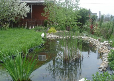 и вот так) - DSC09449.JPG