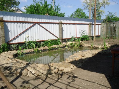Пруд Журавский - DSC01285.JPG