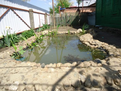 Пруд Журавский - DSC01286.JPG