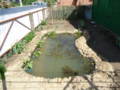 Пруд Журавский - DSC01287.JPG
