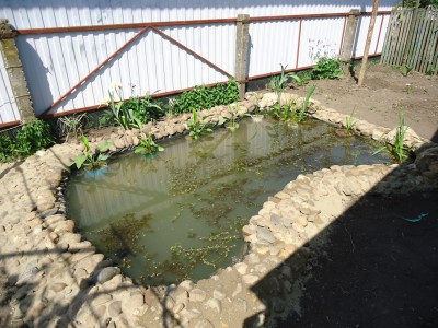 Пруд Журавский - DSC01288.JPG