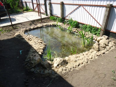 Пруд Журавский - DSC01289.JPG