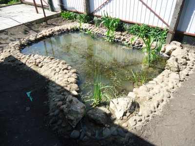Пруд Журавский - DSC01290.JPG