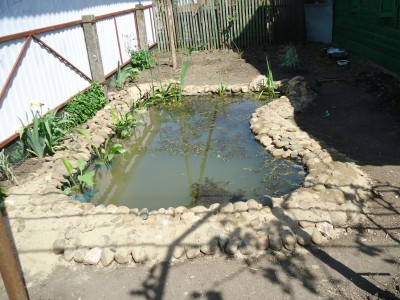 Пруд Журавский - DSC01298.JPG