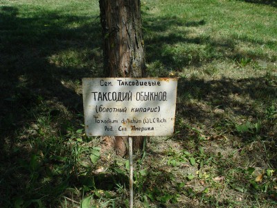 Ботанический сад КубГУ - DSC04427.JPG