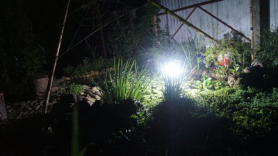 Пруд Журавский - DSC03843.JPG
