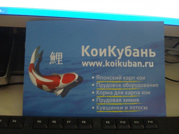 напечатал брошюру. - DSC07549.JPG