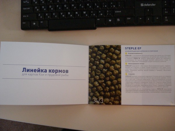 напечатал брошюру. - DSC07550.JPG