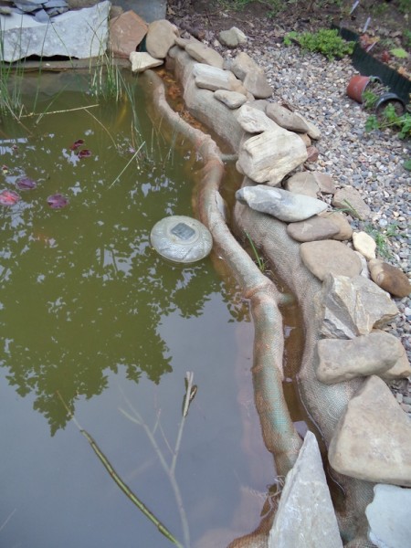 Водный мир на моем участке. - DSC09414.JPG